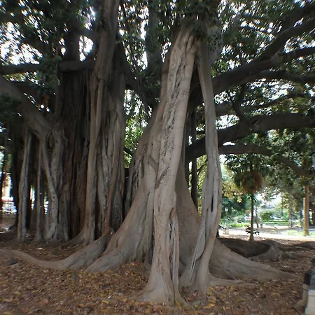 Foresteria Dell'alloro